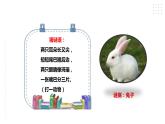 【粤教版】四年级全一册《劳动与技术》第四单元  活动二《养小兔子》教案+课件