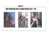 【粤教版】四年级全一册《劳动与技术》第四单元  活动四《饲养动物的学问》教案+课件