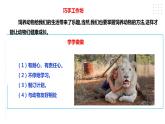 【粤教版】四年级全一册《劳动与技术》第四单元  活动四《饲养动物的学问》教案+课件