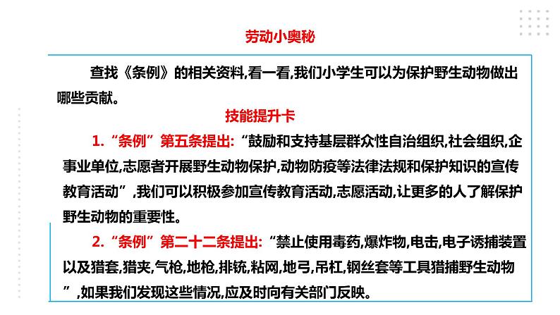 【粤教版】四年级全一册《劳动与技术》第四单元  活动四《饲养动物的学问》教案+课件07