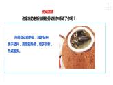 【粤教版】四年级全一册《劳动与技术》第三单元  《劳动故事、展示平台》2 教案+课件