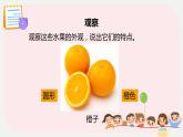 小学劳技二年级上册鄂教版第5课百变水果我会捏 课件