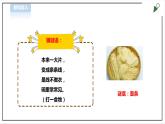 【粤教版】四年级全一册《劳动与技术》第3单元 活动2《炒饭、煮面条》教案+课件