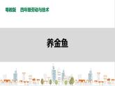 【粤教版】四年级全一册《劳动与技术》第四单元  活动一《养金鱼》教案+课件