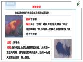 【粤教版】四年级全一册《劳动与技术》第四单元  活动一《养金鱼》教案+课件