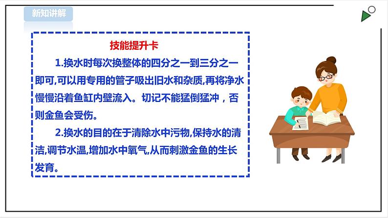 【粤教版】四年级全一册《劳动与技术》第四单元  活动一《养金鱼》教案+课件08