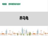 【粤教版】四年级全一册《劳动与技术》第四单元  活动三《养乌龟》教案+课件