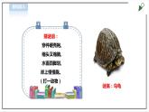 【粤教版】四年级全一册《劳动与技术》第四单元  活动三《养乌龟》教案+课件