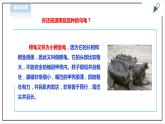【粤教版】四年级全一册《劳动与技术》第四单元  活动三《养乌龟》教案+课件