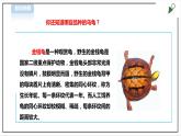 【粤教版】四年级全一册《劳动与技术》第四单元  活动三《养乌龟》教案+课件