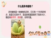 小学劳技二年级上册鄂教版第10课多肉植物我种植 课件