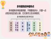 小学劳技二年级上册鄂教版第10课多肉植物我种植 课件
