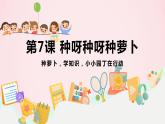 小学劳技 三年级 鄂教版第7课 种呀种呀种萝卜 课件