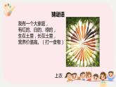 小学劳技 三年级 鄂教版第7课 种呀种呀种萝卜 课件