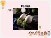 小学劳技 三年级 鄂教版第7课 种呀种呀种萝卜 课件
