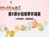 小学三年级劳技鄂教版第8课 水培绿萝环境美 课件
