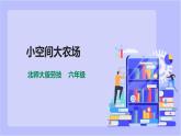 【北师大版】六年级劳技 第7课《小空间大农场》教案+课件+素材