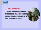 【北师大版】六年级劳技 第7课《小空间大农场》教案+课件+素材