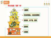 北师大版四年级全一册劳技  第3课《膳食营养小专家》课件+教案