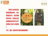 北师大版四年级全一册劳技  第14课《 我给植物来挂牌》教案+课件