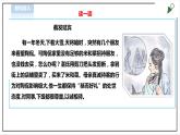 【北师大版】三年级《劳动实践指导手册》第3课《 客人来了我招待》教案+课件