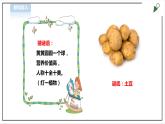 【北师大版】三年级《劳动实践指导手册》第8课《土豆成长我观察》教案+课件