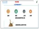 【北师大版】三年级《劳动实践指导手册》第8课《土豆成长我观察》教案+课件