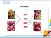 【北师大版】一年级劳技 第16课《 探究深圳荔枝 》教案+课件