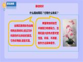 【北师大版】六年级劳技 第13课《丝网绽放百台花》教案+课件+素材