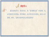人民版劳动四年级上册 9 无公害菠菜我能种（课件）