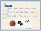 人民版劳动四年级上册 9 无公害菠菜我能种（课件）
