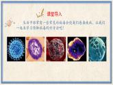 人民版劳动四年级上册 15 防御病毒有方法（课件）