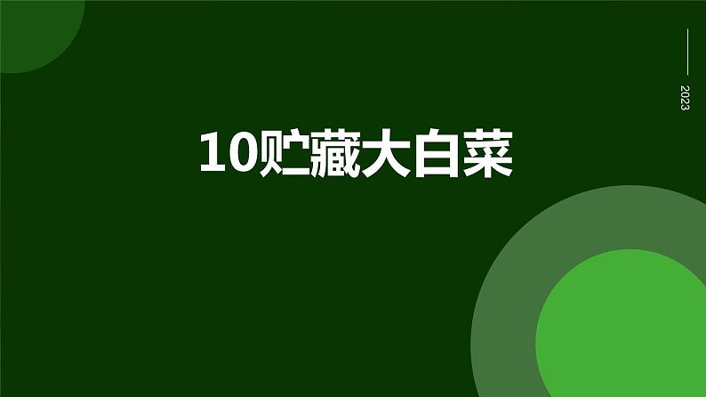 人民版劳动六年级上册 10贮藏大白菜（课件）01