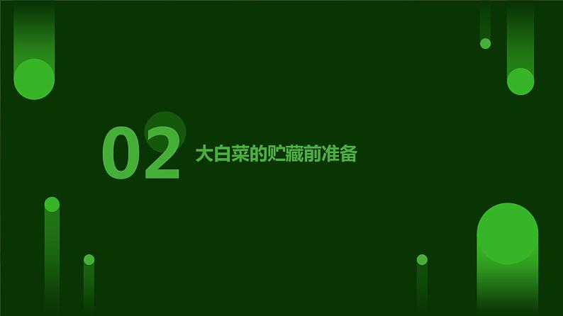 人民版劳动六年级上册 10贮藏大白菜（课件）07