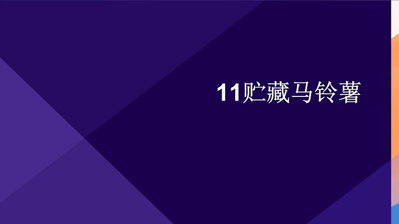 人民版劳动六年级上册 11贮藏马铃薯（课件）第1页