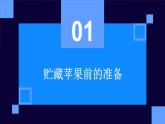 人民版劳动六年级上册 12贮藏苹果（课件）
