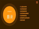 人民版劳动六年级上册 15合法劳动我知道（课件）