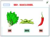 浙教版劳动一年级上册项目3 任务1《蔬菜我来洗》 课件