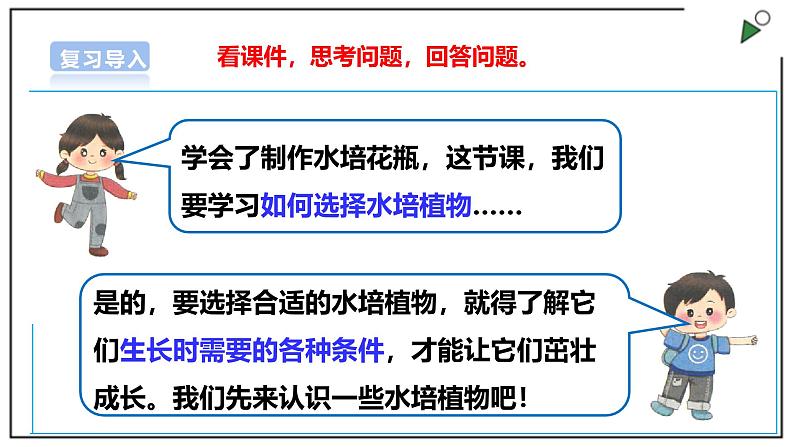 浙教版劳动一年级上项目4 任务2《选种水培植物》课件04