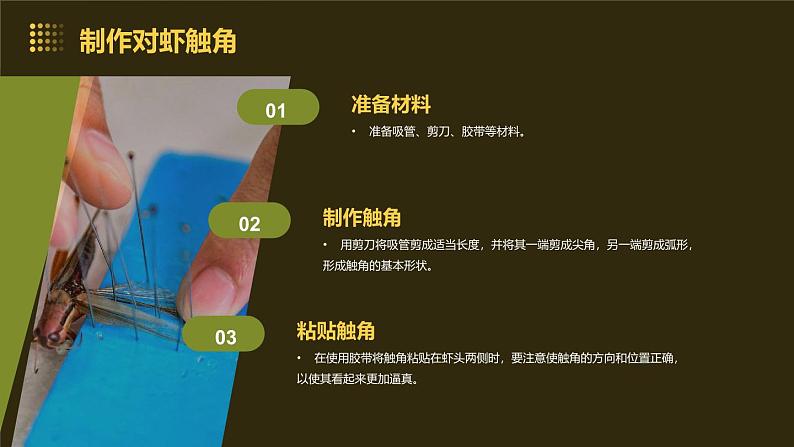 3.吸管编对虾（课件）2023-2024学年小学劳动四年级上册（人教版）第8页