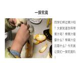7.我为大家榨果汁 课件-2023-2024学年小学劳动六年级上册（人教版）