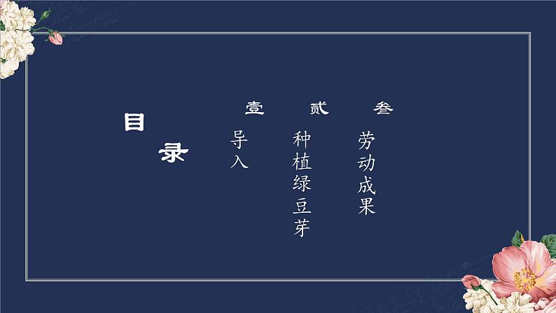 2.绿豆芽的秘密 课件 2023-2024学年小学劳动二年级上册（人教版）02