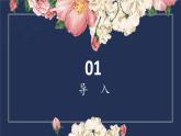 2.绿豆芽的秘密 课件 2023-2024学年小学劳动二年级上册（人教版）