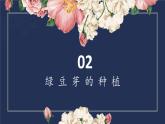 2.绿豆芽的秘密 课件 2023-2024学年小学劳动二年级上册（人教版）