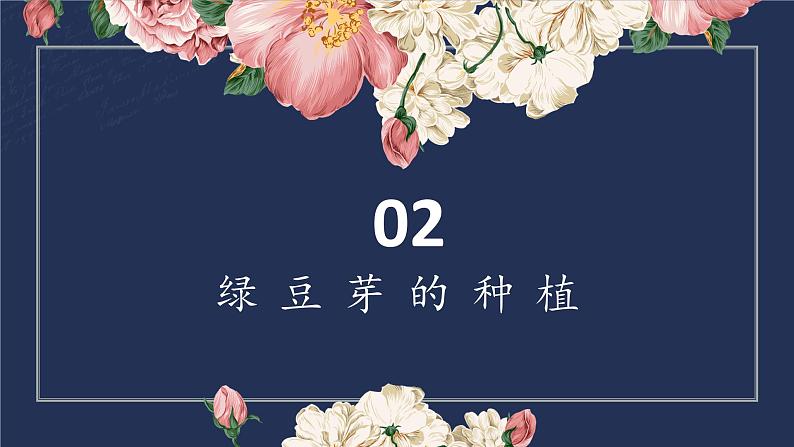 2.绿豆芽的秘密 课件 2023-2024学年小学劳动二年级上册（人教版）05