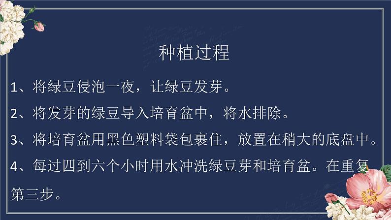 2.绿豆芽的秘密 课件 2023-2024学年小学劳动二年级上册（人教版）07