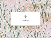 4.做朵玫瑰送老师 课件 2023-2024学年小学劳动二年级上册（人教版）
