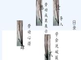 12.今天我来洗碗筷 课件 2023-2024学年小学劳动二年级上册（人教版）