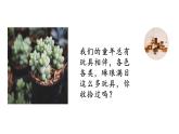 13.收拾玩具 课件 2023-2024学年小学劳动二年级上册（人教版）