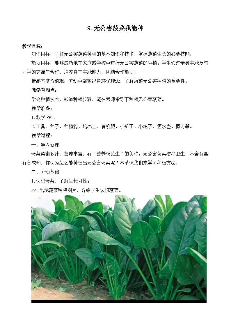9无公害菠菜我能种（教案）2023-2024学年小学劳动四年级上册（人教版）第1页